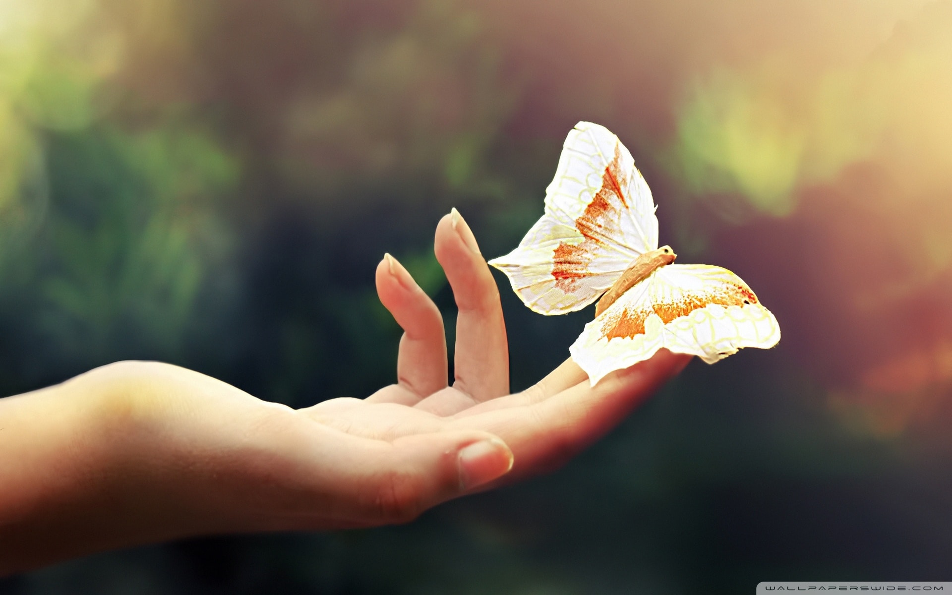 Thank You Message For Email - Hand Touching Butterfly
